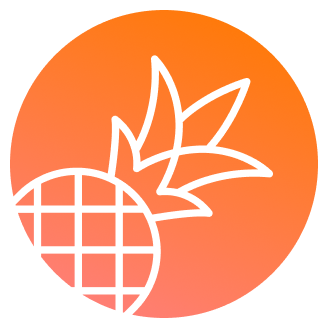 PineappleBuilder - AI建站