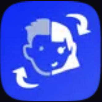 Video Face Swap AI换脸
